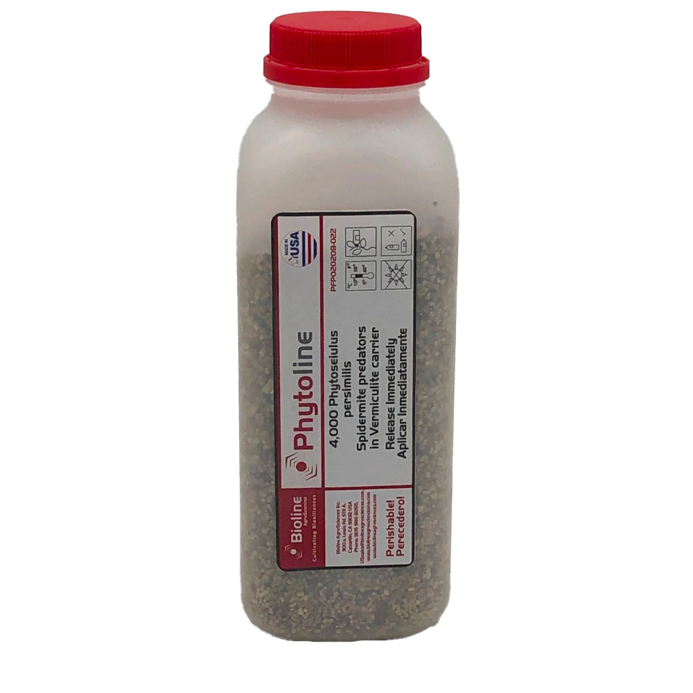 Phytoline – 4000 per bottle - Biological Control